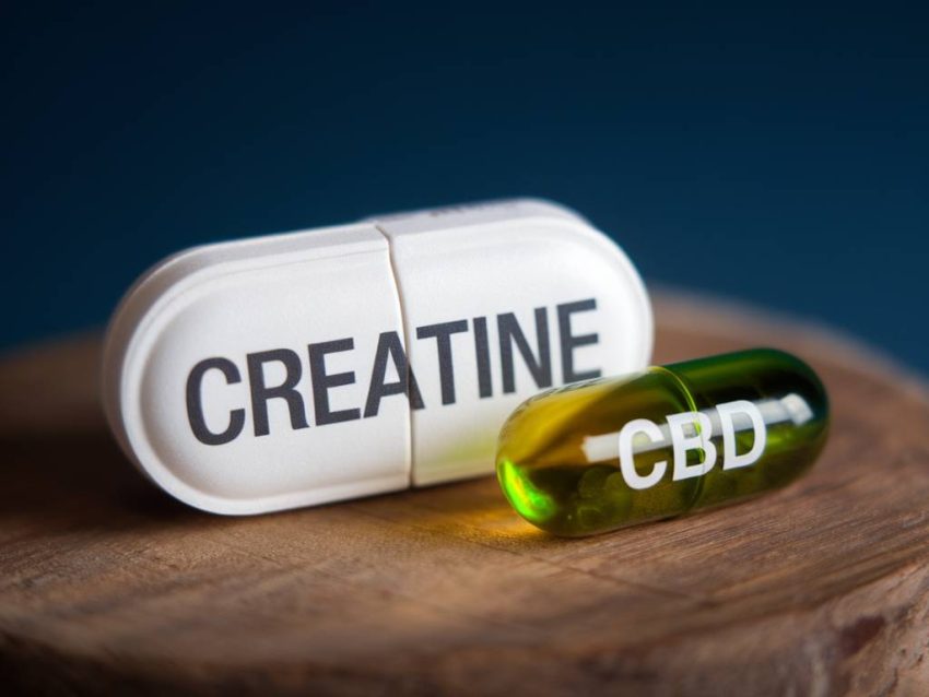 Creatine et cbd : un duo gagnant ou à éviter ?